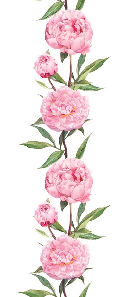 Roze bloem - pioen. Naadloze floral grens strip. Aquarel — Stockfoto