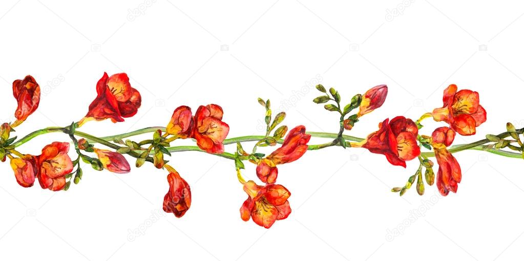 Seamless floral border stripe with flower of red freesia