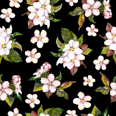 Seamless floral contrast background with apple tree flowers on black backdrop. Watercolor drawing