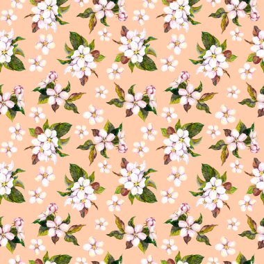 Seamless floral wallpaper with aquarell hand painted apple cherry flower blooming on pink background