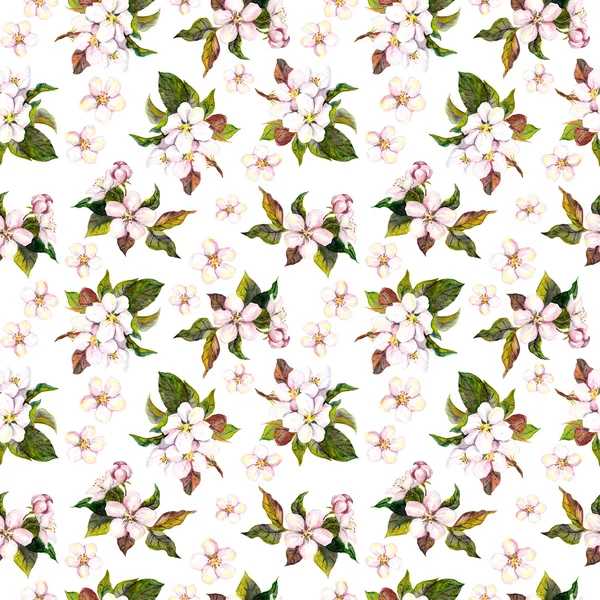 Plantilla floral sin costuras con flor de manzana y cerezo pintadas acuarela aisladas sobre fondo blanco —  Fotos de Stock