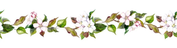 Seamless borders with apple flowers — 스톡 사진