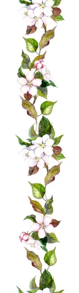 Seamless borders with apple flowers — 스톡 사진