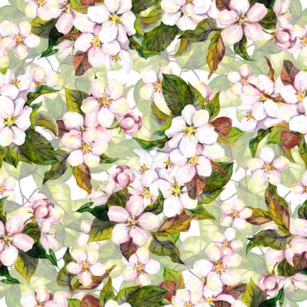 Seamless floral background with sakura flower - cherry blossom. Watercolor drawing — Stock Fotó