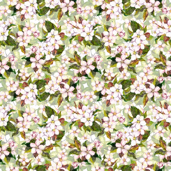 Nahtlose Blumenmuster mit blühenden Apfelblüten, Kirschblüten. Aquarellzeichnung — Stockfoto