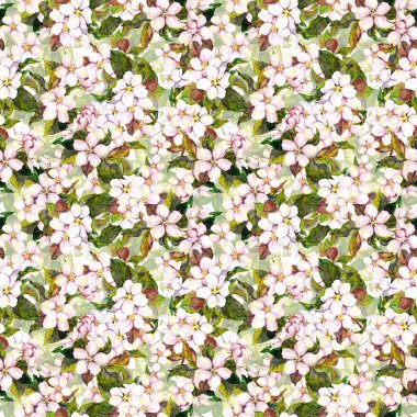 Seamless tiled floral backdrop with white-pink apple flower - fruit tree blossom. Aquarelle artwork