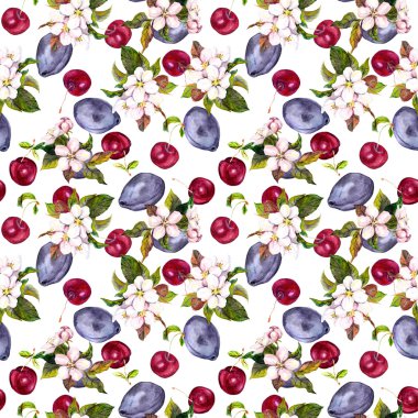 Cherry flowers and fruits: cherry berries, plum. Seamless background. Watercolour 
