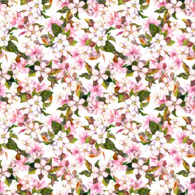 Dikişsiz, çiçek desenli - pembe elma ve kiraz çiçekleri tekrarladı. suluboya