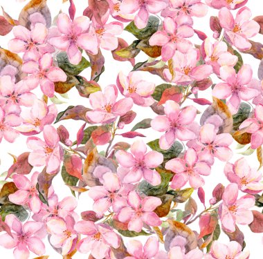 Fruit tree -apple or cherry- pink flowers. Seamless floral swatch. Watercolour art on white background