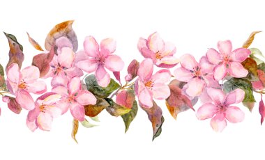 Apple or cherry pink flowers. Seamless floral stripe frame. Watercolor painted fringe