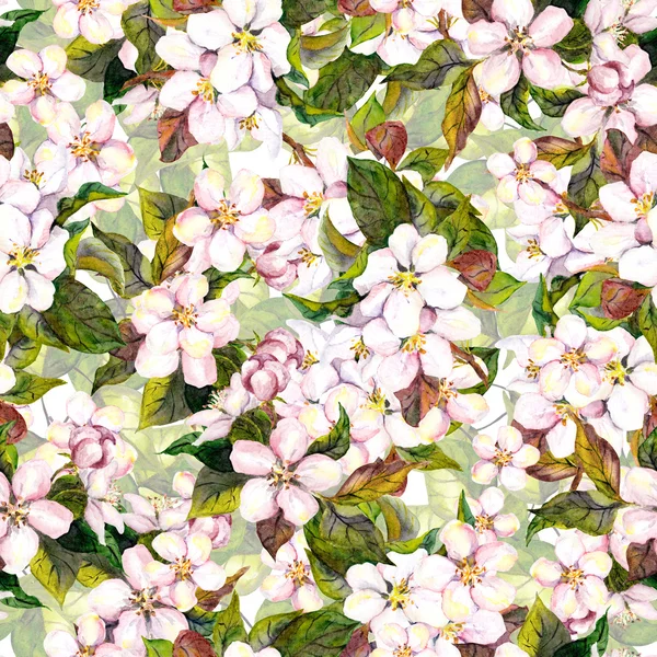 Seamless floral repeated template with blooming flower - pink apple blossom. Watercolor hand painting — Stockfoto