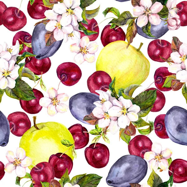 Cherry flowers and harvest fruits: plum, cherry, apple. Seamless pattern. Watercolor — ストック写真