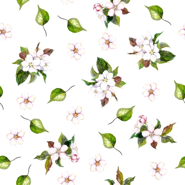 Background with apple flowers — Stock Photo, Image