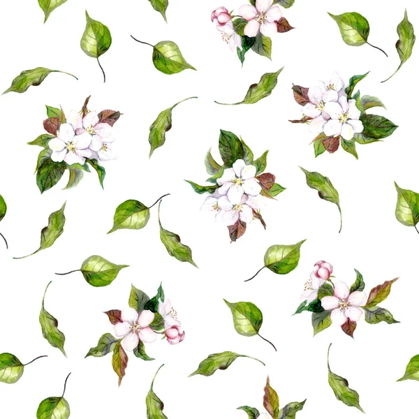 Background with apple flowers and leaves — Stok fotoğraf