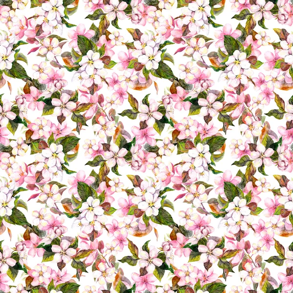 Nahtlos wiederholte Blumenmuster - rosa Kirsch- und Apfelblüten. Aquarell — Stockfoto