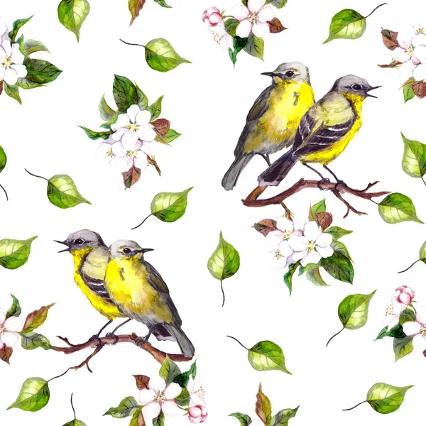 Seamless background with couple of song birds with spring flowers — Stok fotoğraf