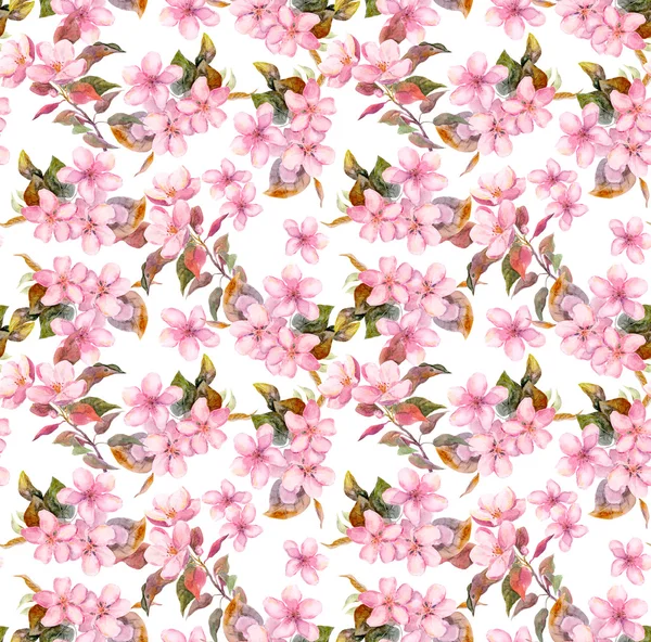 Pink blooming fruit flowers apple, cherry, plum. Seamless floral pattern. Watercolor on white background — Stockfoto