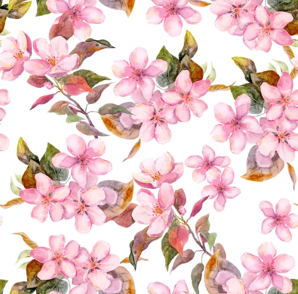 Pink fruit apple, cherry, sakura flowers. Seamless floral template. Aquarelle on white background — 图库照片