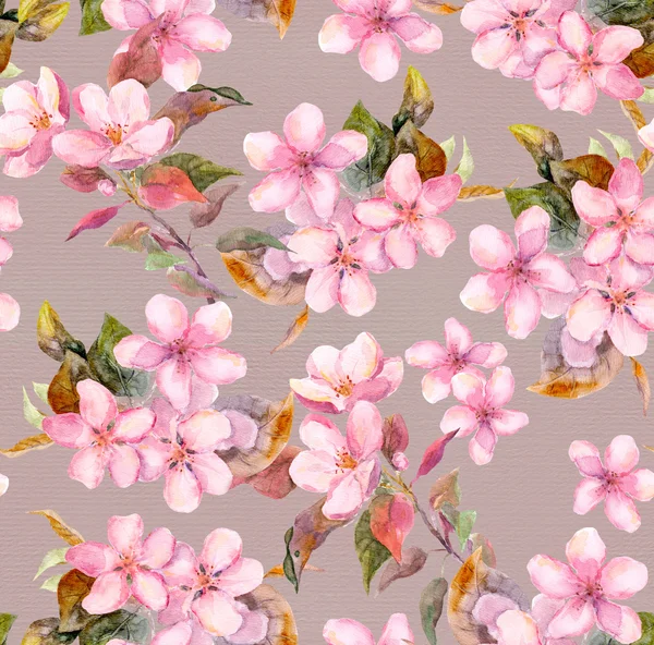 La manzana rosada, la guinda - las flores de sakura. Plantilla floral sin costuras. Acuarela sobre fondo gris — Foto de Stock