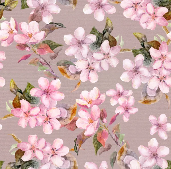 Retro pink apple and cherry flowers in blossom. Seamless floral template. Watercolour on gray background — 图库照片