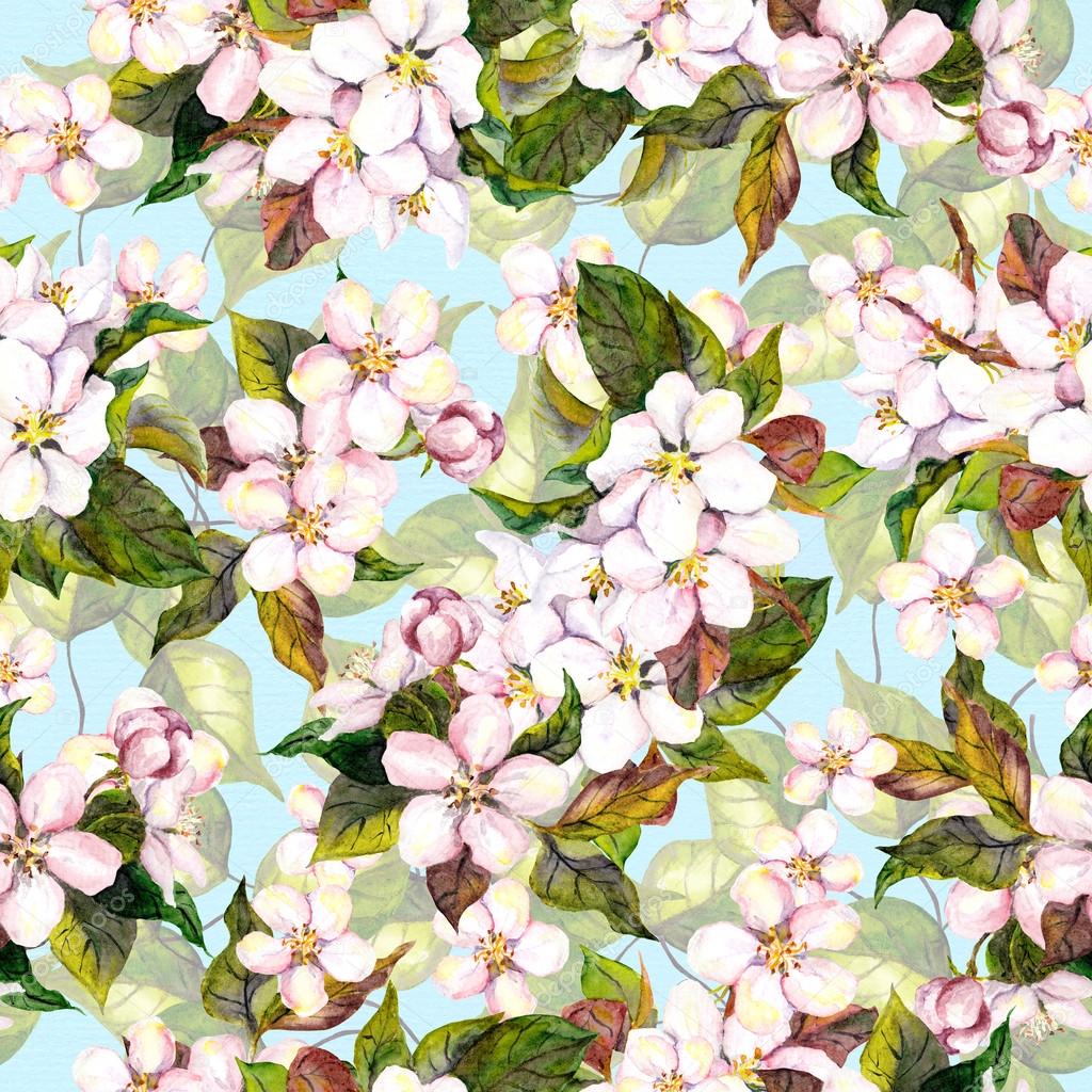 Seamless floral pattern with white fruit tree flower - cherry blossom on blue sky background. Watercolour art 