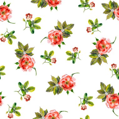 Sorunsuz zemin ile köpek gül pembe çiçekler