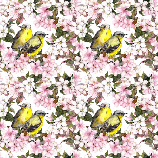 Pássaros e cereja rosa e flores de maçã. Padrão floral repetido sem costura. Aquarela — Fotografia de Stock