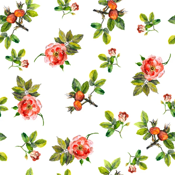 Textuur van sjabloon met wilde rozen en briar bessen — Stockfoto