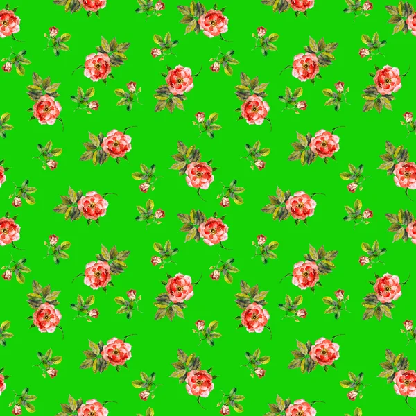在丰富多彩的绿色背景的小玫瑰炫彩无缝花纹 — 图库照片