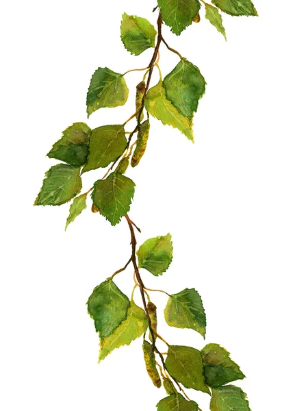 Grensestripe med grønne, ferske blader av bjørkegren – stockfoto