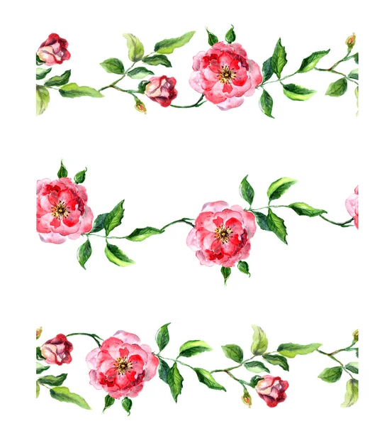 Seamless borders with wild roses — Stock Photo, Image