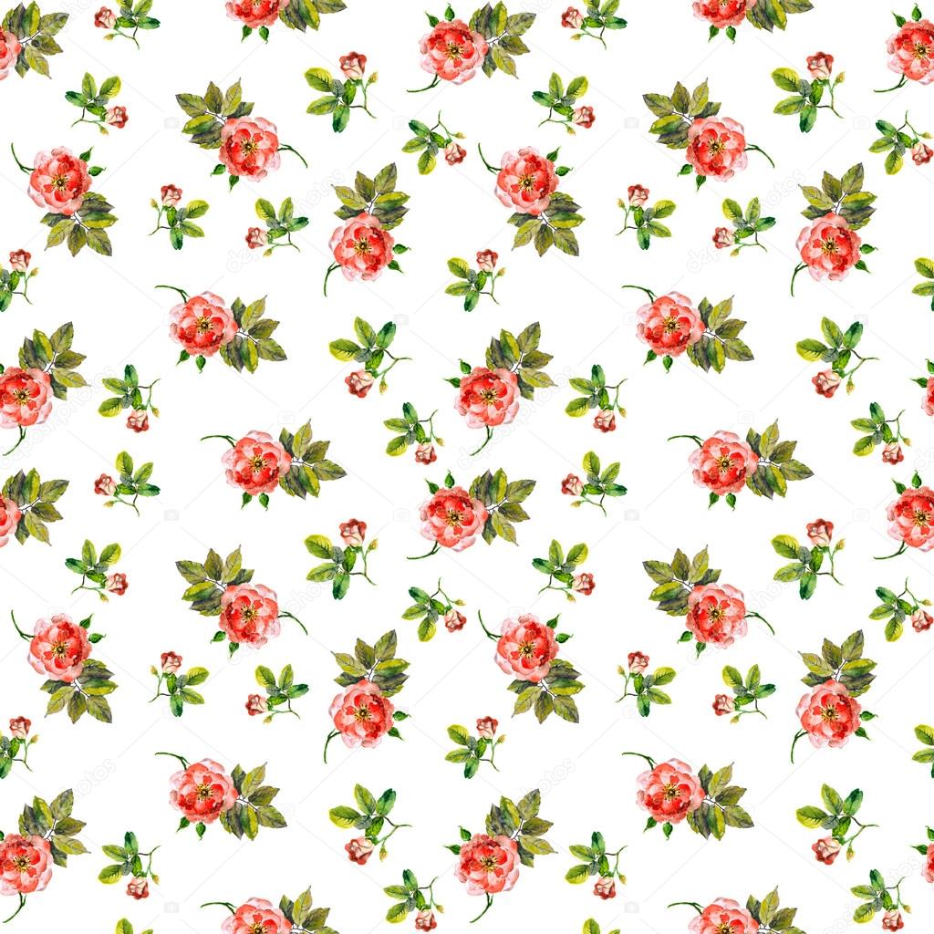 Spring seamless pattern with wild roses