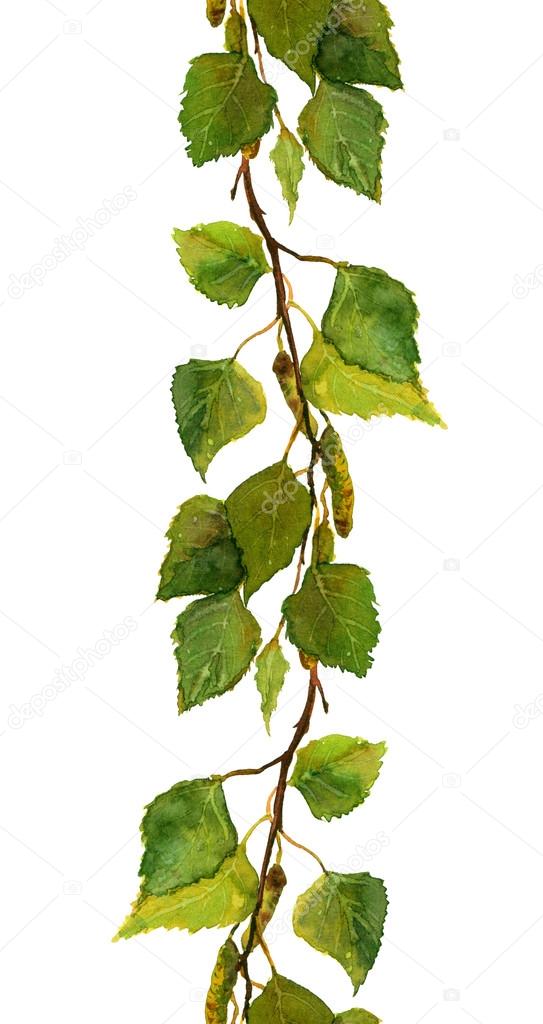 Seamless border of green birch leaves