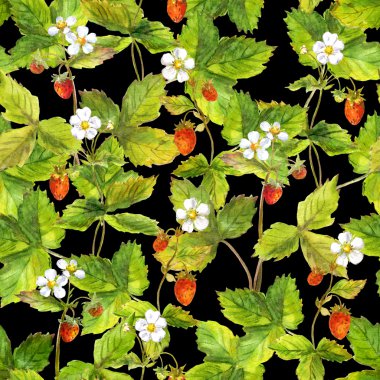 Doğal vahşi orman çilek ile sorunsuz meyve arka plan kontrast. Siyah arka plan üzerine suluboya resim