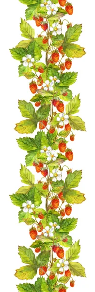 赤い森イチゴ果実とシームレスな垂直枠エッジングを描いた水彩画 — ストック写真