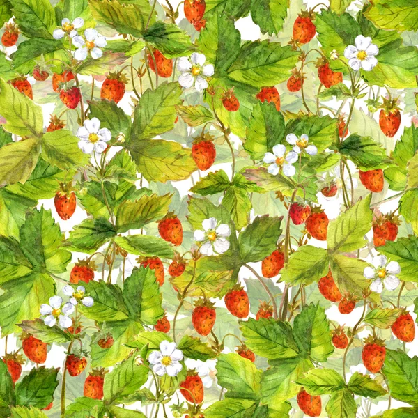 많은 야생 숲 딸기 열매의 완벽 한 배경. 수채화 미술 — 스톡 사진