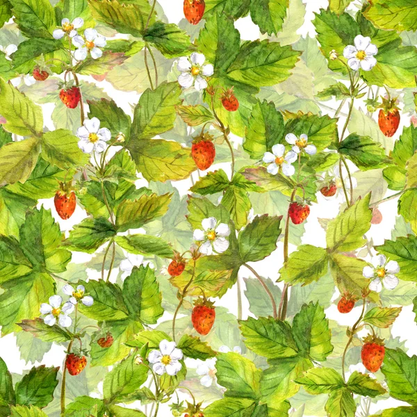 Swatch sans couture avec champ de petites fraises forestières sauvages. Dessin aquarelle isolé sur fond blanc — Photo