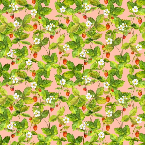 Fondo de pantalla de verano sin costuras con fresa maduro bosque salvaje. Dibujo botánico Aquarelle sobre fondo rosa —  Fotos de Stock