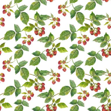 Sorunsuz duvar kağıdı zarif ahududu retro görüntüsü ile