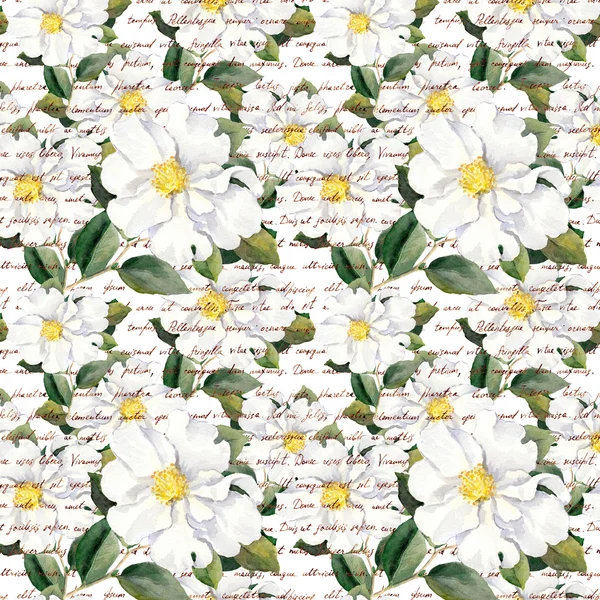 Flores blancas con texto escrito a mano. Patrón sin costura floral acuarela —  Fotos de Stock