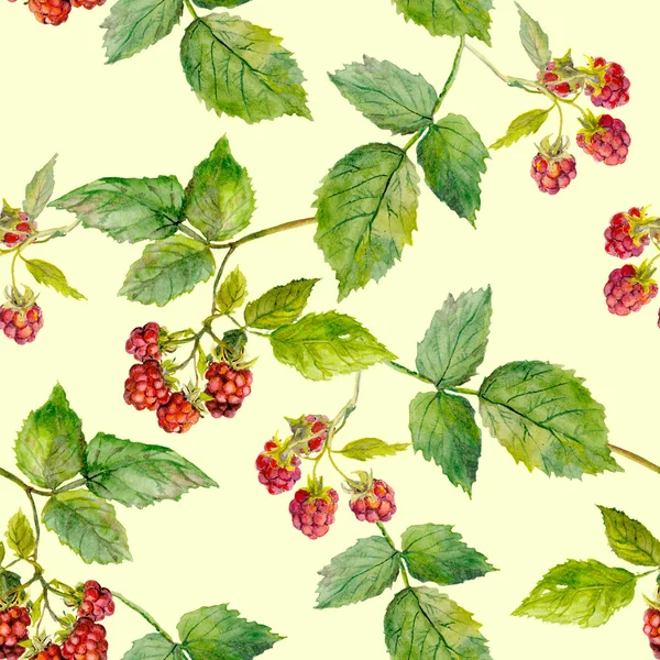 黄色光背景图案与新鲜树莓灌木丛 — 图库照片