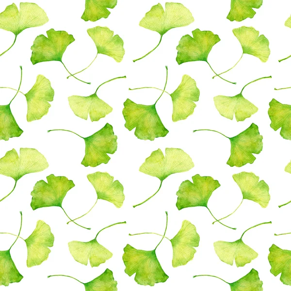 Ginkgo blad mönster. Akvarell — Stockfoto