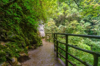 Enshi, Hubei, Çin 'deki Dixin Vadisi Sahne Alanı' nın sonbahar manzarası