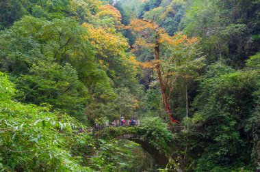Enshi, Hubei, Çin 'deki Dixin Vadisi Sahne Alanı' nın sonbahar manzarası