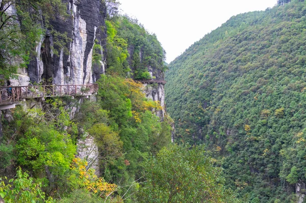 Jesienna Sceneria Dixin Valley Scenic Area Enshi Hubei Chiny — Zdjęcie stockowe