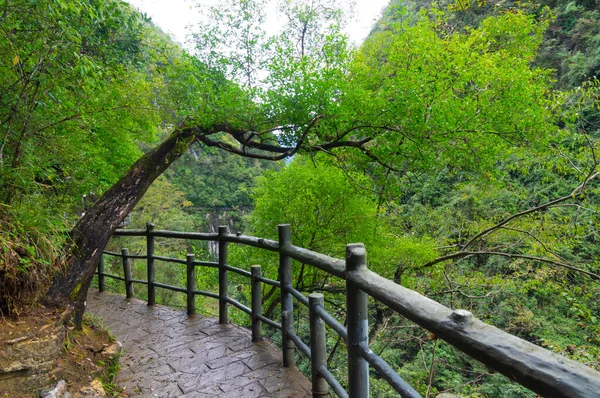 Efterår Sceneri Dixin Valley Scenic Area Enshi Hubei Kina - Stock-foto