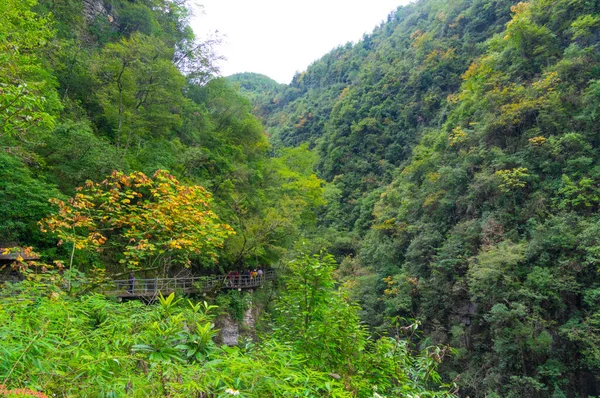 Paisagem Outono Área Cênica Vale Dixin Enshi Hubei China — Fotografia de Stock