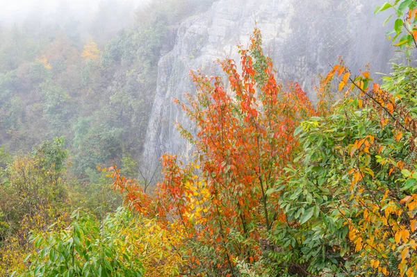 Paisaje Otoñal Del Área Escénica Jianshiye Three Gorges Enshi Hubei — Foto de Stock