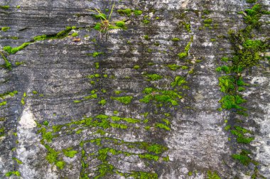 Enshi, Hubei, Çin 'deki Jianshiye Üç Boğaz Manzarası Sonbahar Manzarası