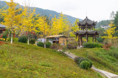 Enshi Suobuya Taş Ormanı Sahne Bölgesi, Hubei, Çin